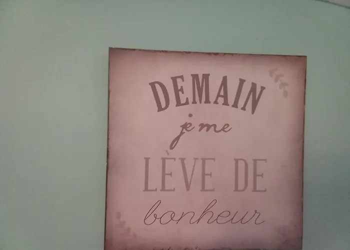 Charme Et Douceur En Provence Appartement *